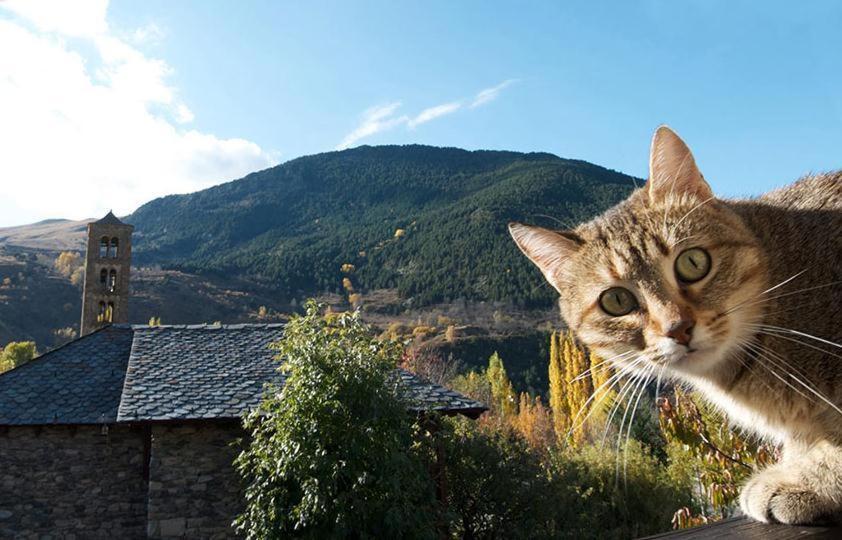 Casa Independiente Rural Ca De Corral Taull Bagian luar foto