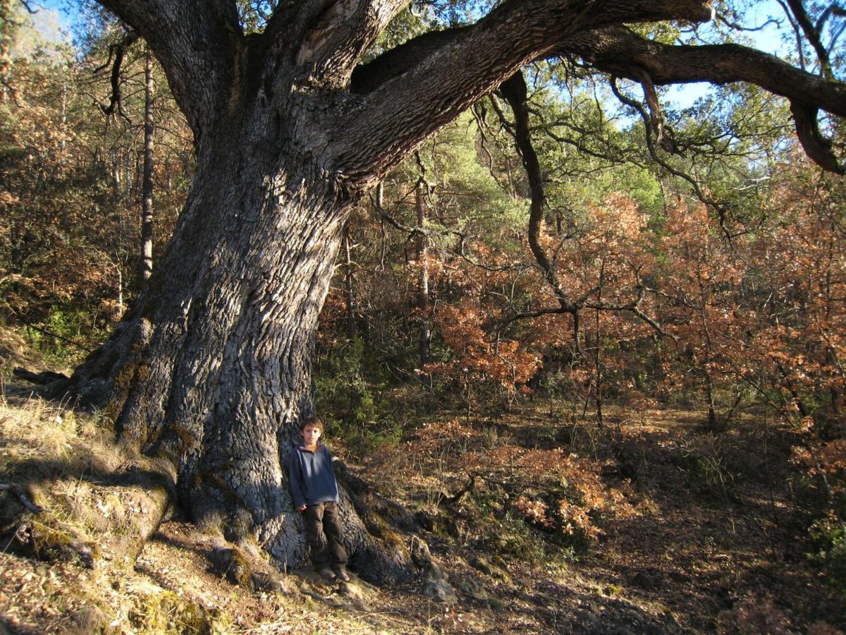 Casa Independiente Rural Ca De Corral Taull Bagian luar foto